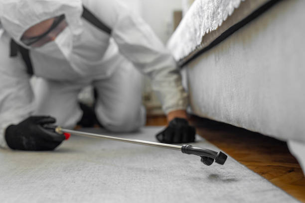 Professional Pest Control technician working in Hampton, SC