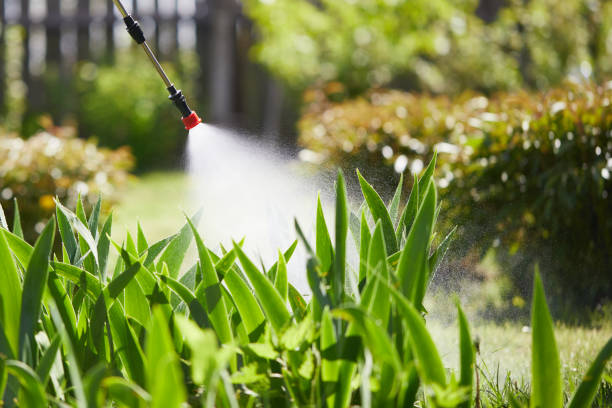 24/7 Emergency Pest Control experts in Hampton, SC